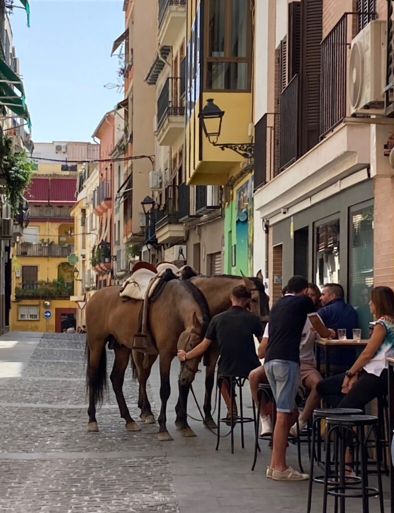 Bar w Jaén